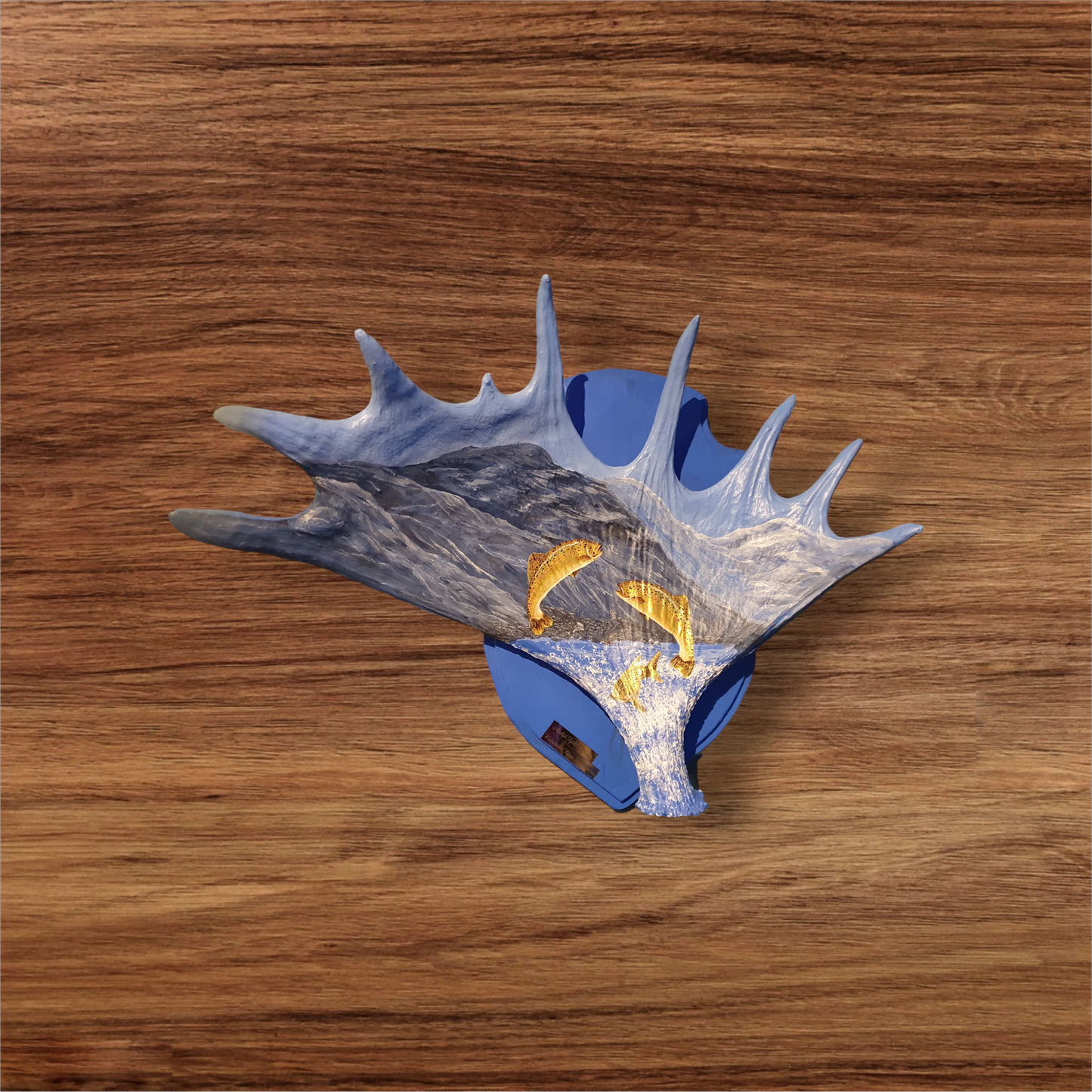 Lekande öringar i fjällsjö