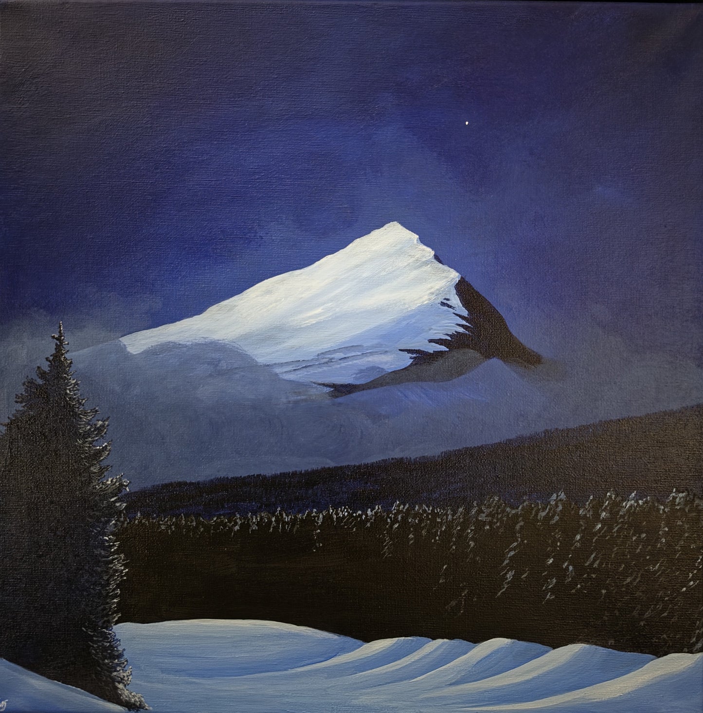 Ryfjället Då och Nu