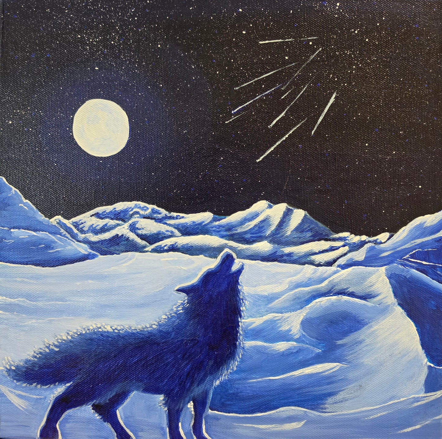 Stjärnfall i Vinternatt