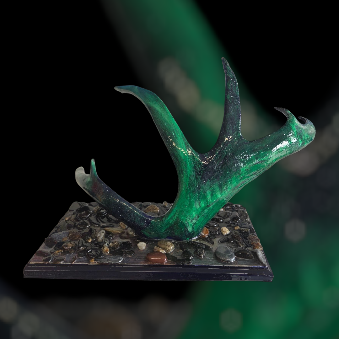 Auroras Flammor