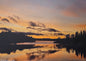 Vågen