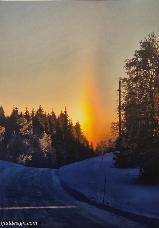 Halo i vinterlandskap