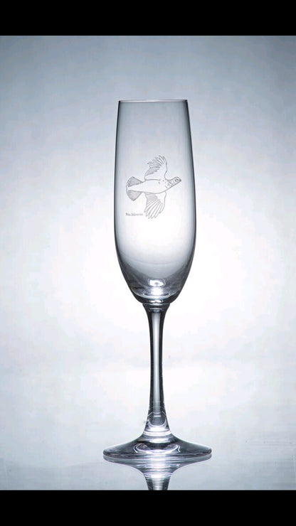 Champagneglas – Ripans elegans