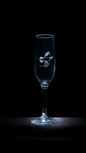 Champagneglas – Ripans elegans
