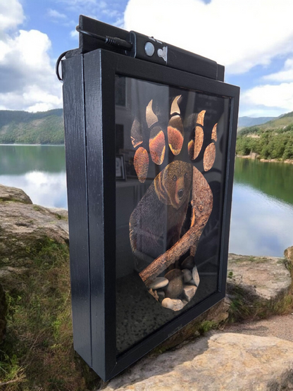 Björn
